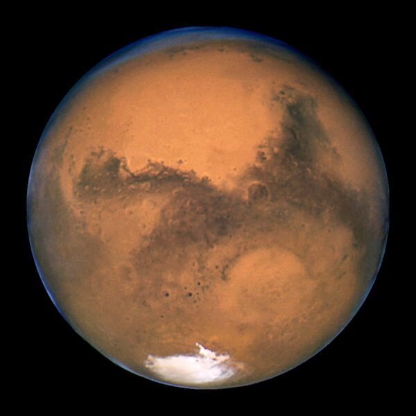 Elon Musk, Maye Musk, Mars, and Mar-a-Lago: A Fascinating Intersection of Vision and Prestige 3 mars